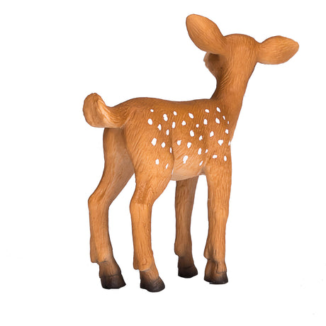 Mojo fauna silvestre cría de venado cola blanca - 387036