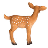 Mojo fauna silvestre cría de venado cola blanca - 387036