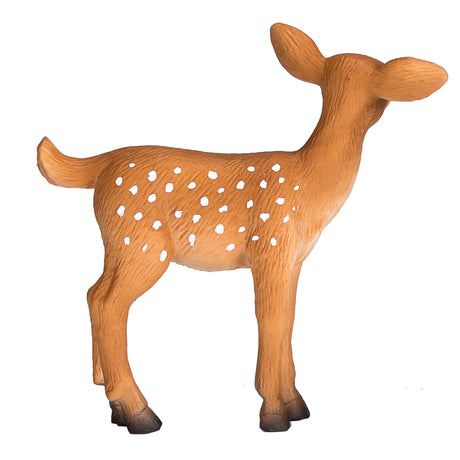 Mojo fauna silvestre cría de venado cola blanca - 387036