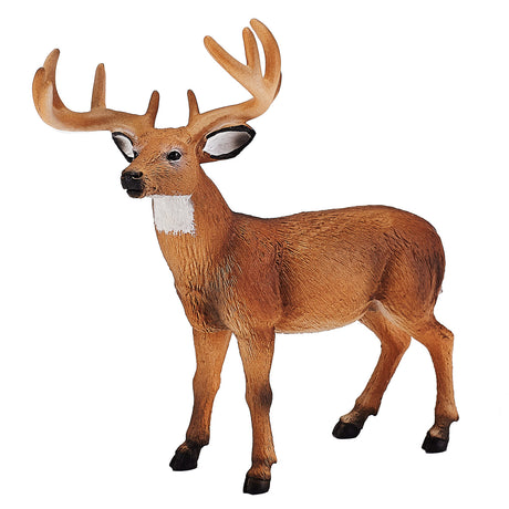 Mojo fauna ciervo venado cola blanca - 387038