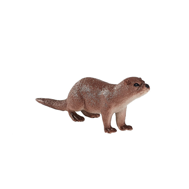 Nutria salvaje Mojo - 387128