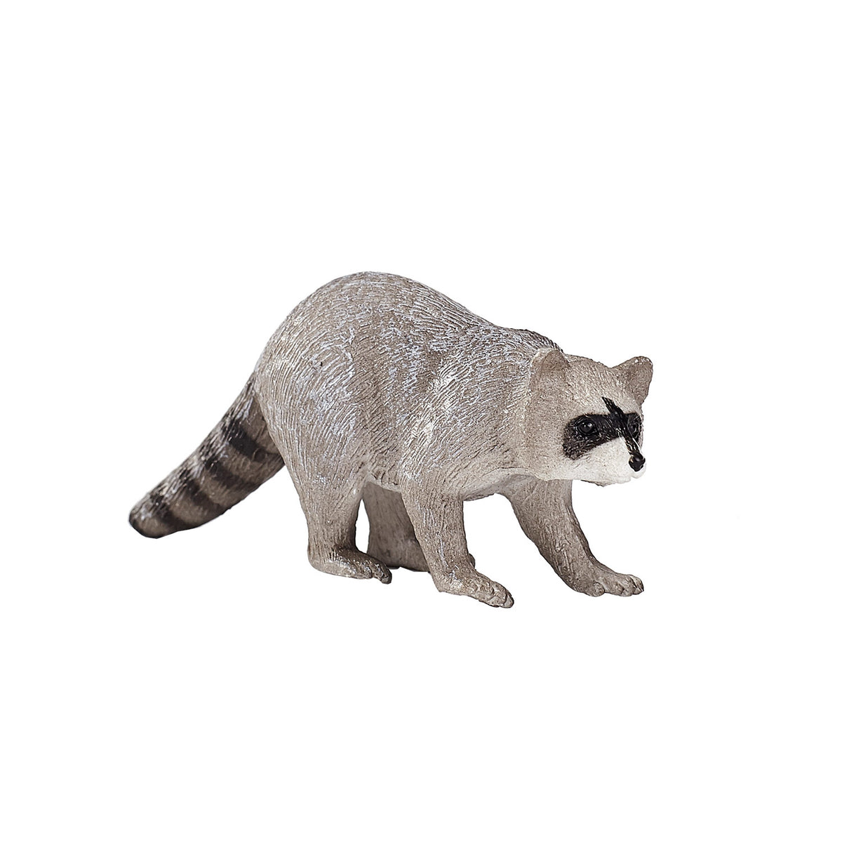 Mapache salvaje Mojo - 387159