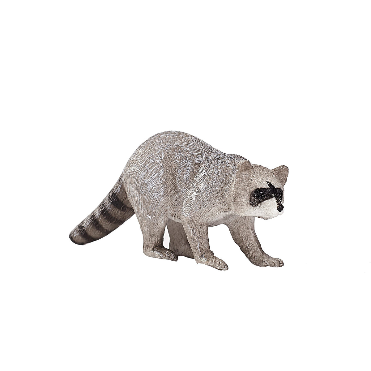 Mapache salvaje Mojo - 387159