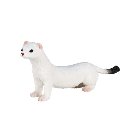 Mojo fauna armiño blanco - 387164