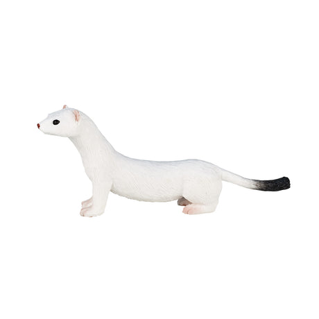 Mojo fauna armiño blanco - 387164