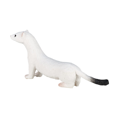 Mojo fauna armiño blanco - 387164