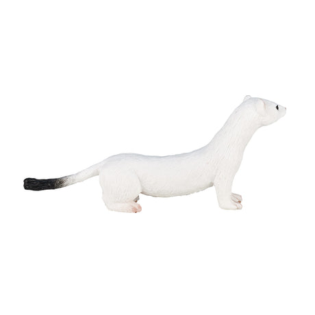 Mojo fauna armiño blanco - 387164