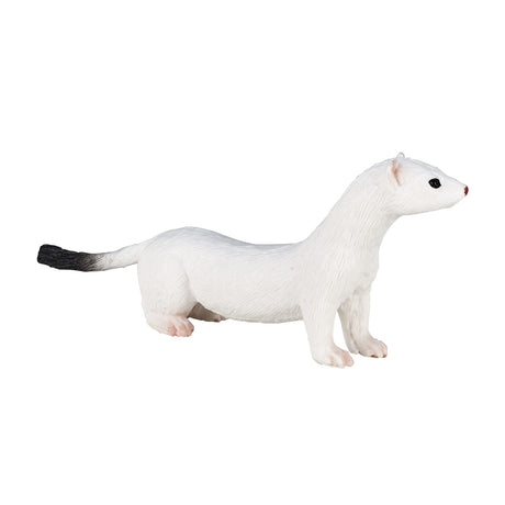 Mojo fauna armiño blanco - 387164