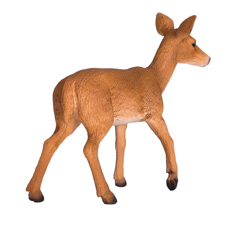 Mojo fauna venado cola blanca - 387185