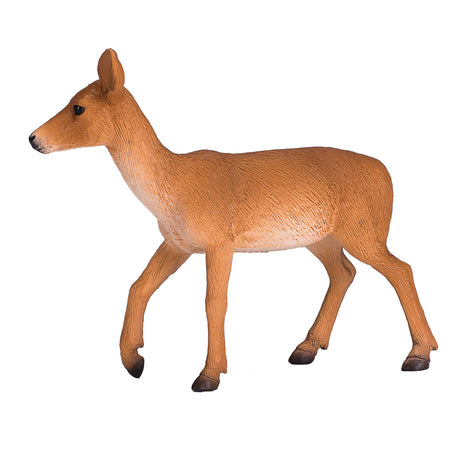 Mojo fauna venado cola blanca - 387185