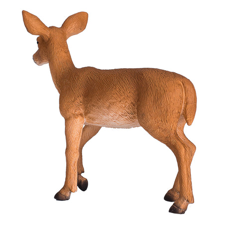 Mojo fauna venado cola blanca - 387185