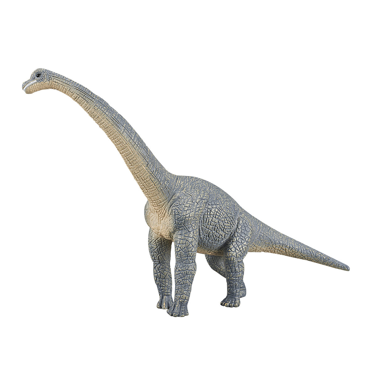 Mojo prehistoria braquiosaurio - 387044