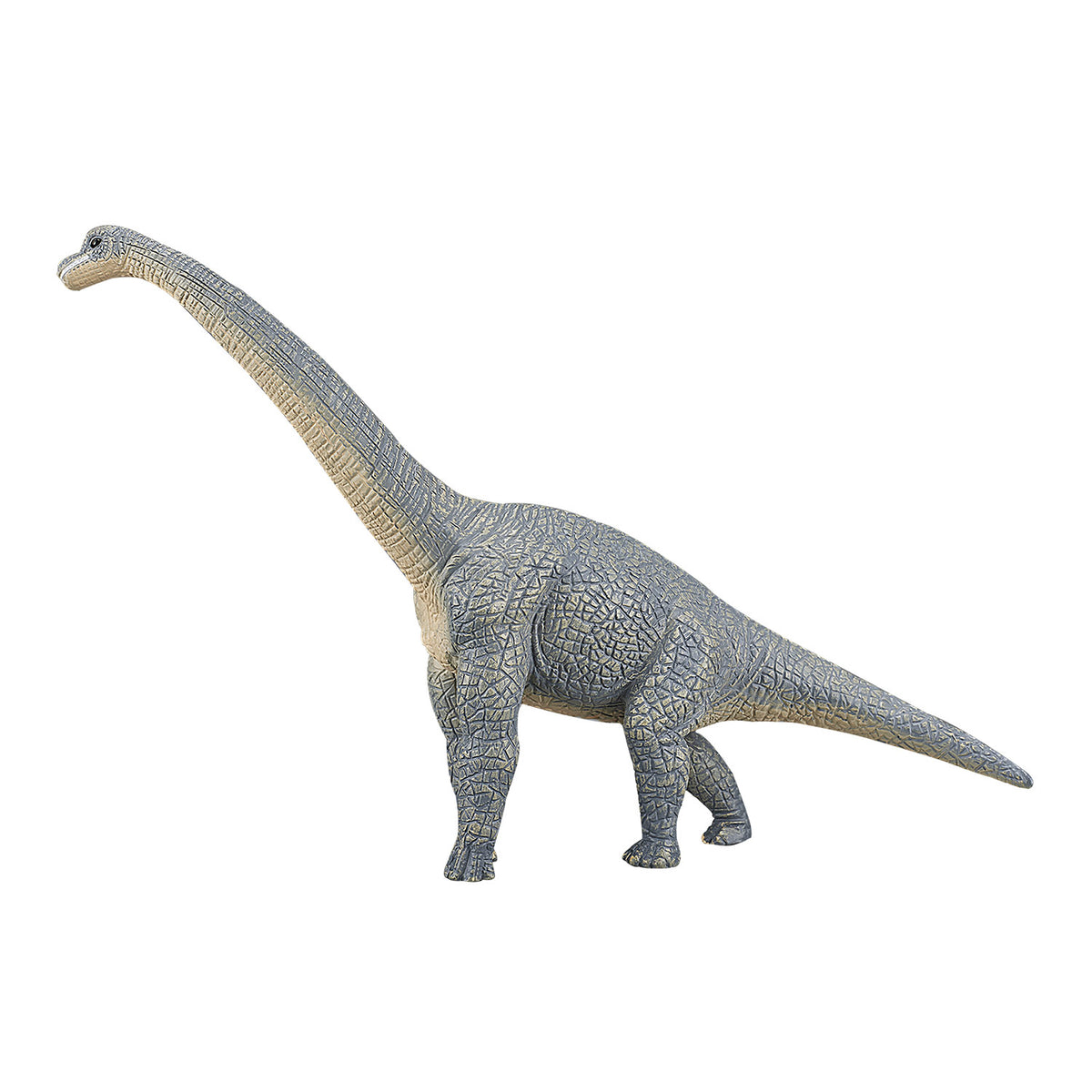 Mojo prehistoria braquiosaurio - 387044