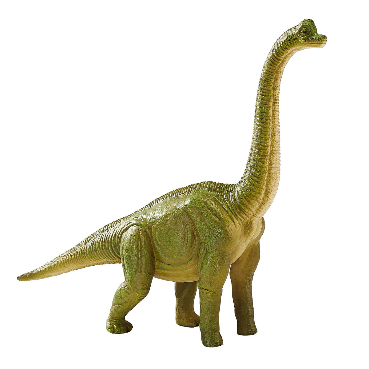 Mojo prehistoria braquiosaurio - 387212
