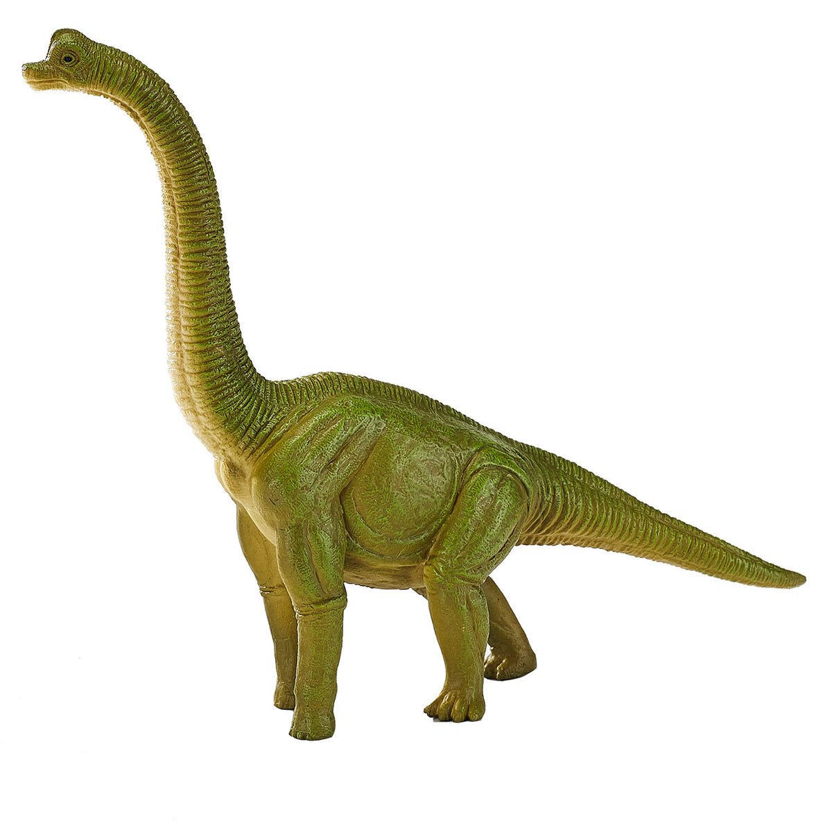 Mojo prehistoria braquiosaurio - 387212