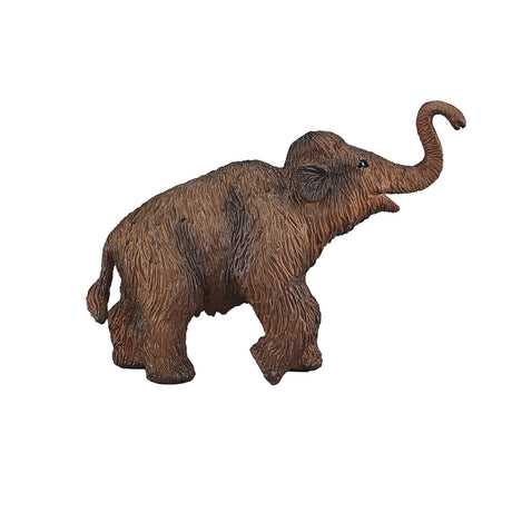 Mojo ternero de mamut lanudo prehistoria - 387050