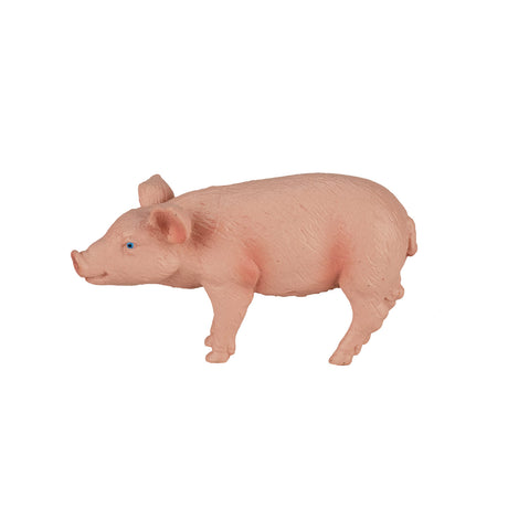 Cerdo de tierras de cultivo Mojo - 387055