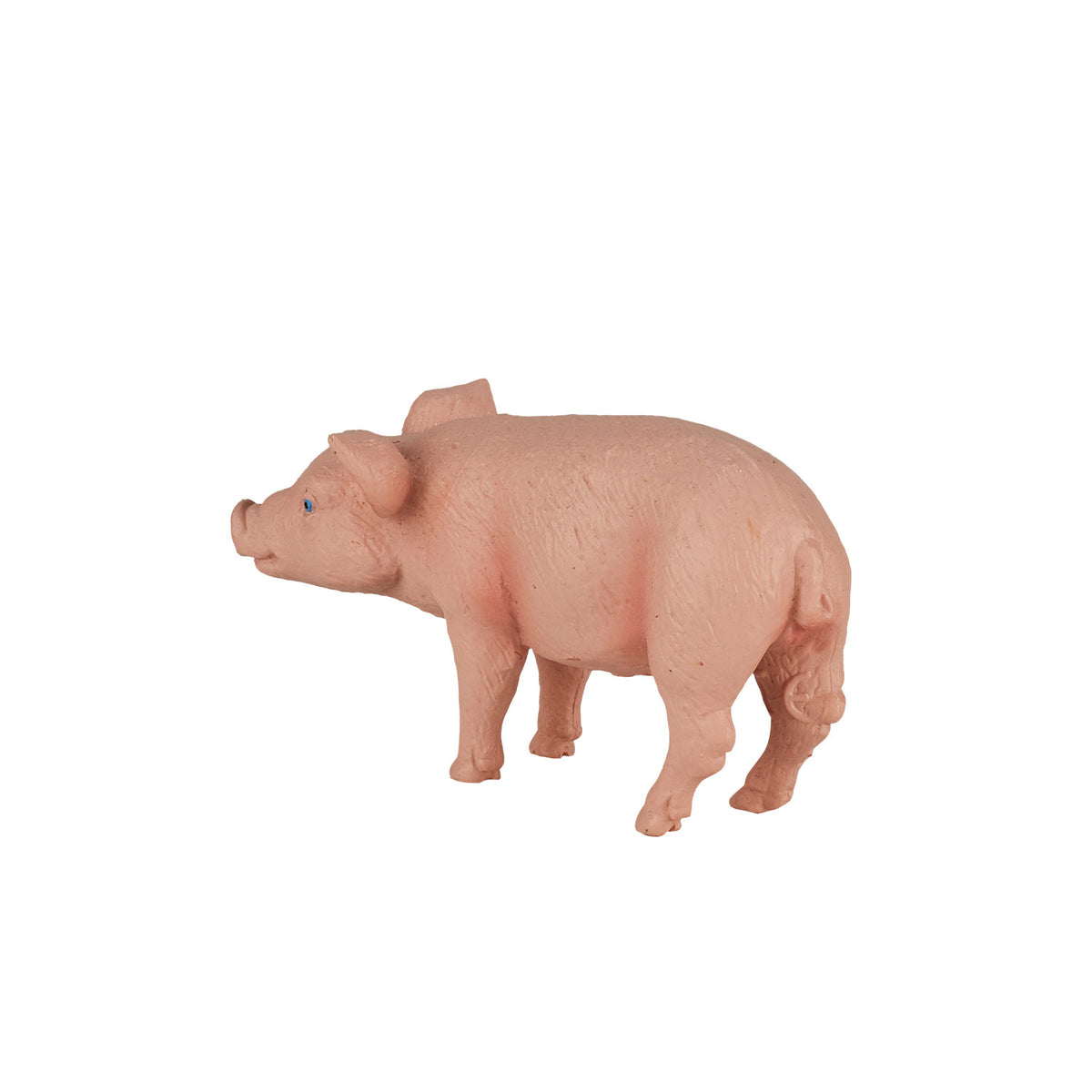Cerdo de tierras de cultivo Mojo - 387055