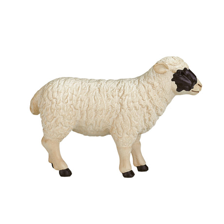 Mojo tierras de cultivo oveja cabeza negra - 387058