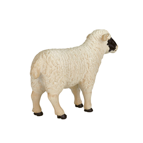 Mojo tierras de cultivo oveja cabeza negra - 387058