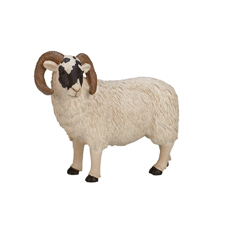 Mojo carnero de oveja de cabeza negra - 387081