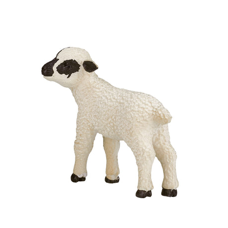 Mojo tierras de cultivo oveja cabeza negra cordero - 387059