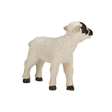 Mojo tierras de cultivo oveja cabeza negra cordero - 387059