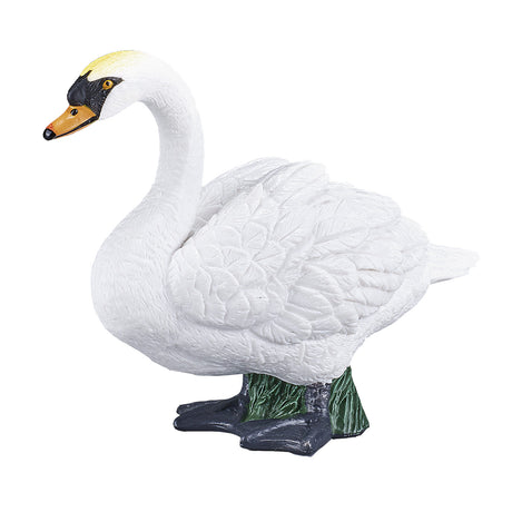 Cisne mudo de tierras de cultivo Mojo - 387065