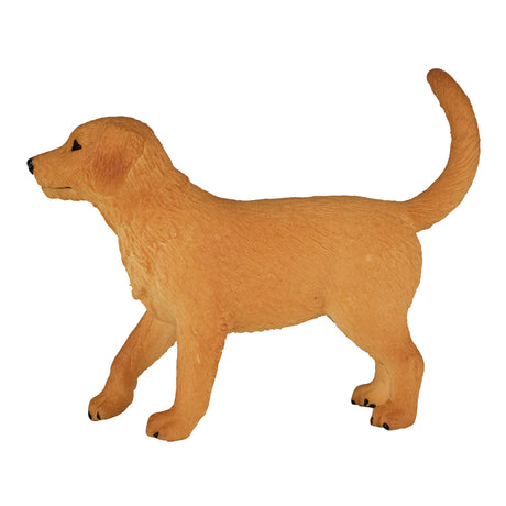 Cachorro golden retriever de tierras de cultivo Mojo - 387205