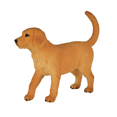Cachorro golden retriever de tierras de cultivo Mojo - 387205