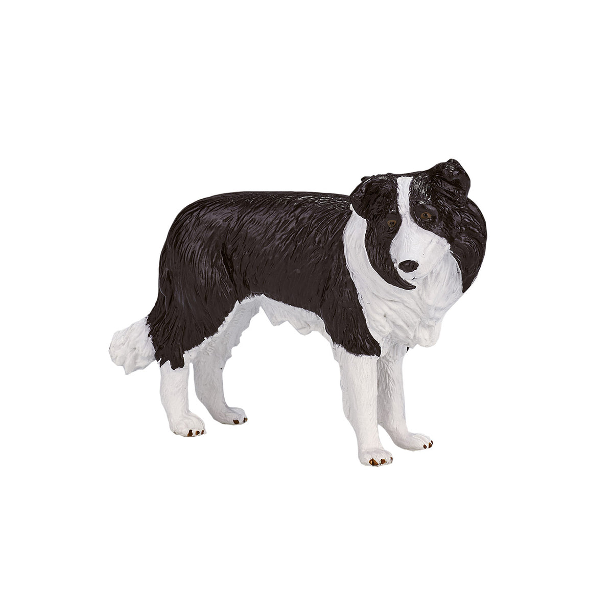 Border collie de tierras de cultivo Mojo - 387203