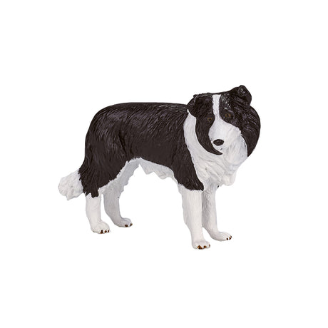 Border collie de tierras de cultivo Mojo - 387203