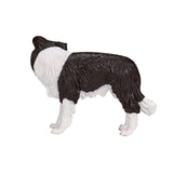Border collie de tierras de cultivo Mojo - 387203