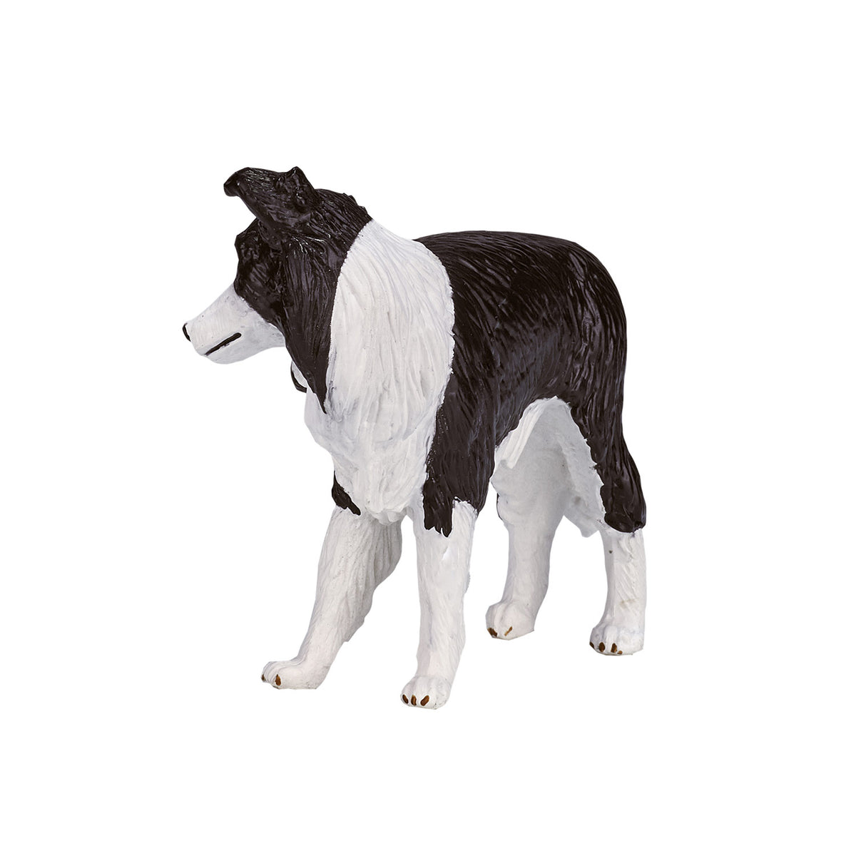 Border collie de tierras de cultivo Mojo - 387203