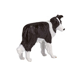Border collie de tierras de cultivo Mojo - 387203