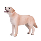 Labrador de tierras de cultivo Mojo - 387271