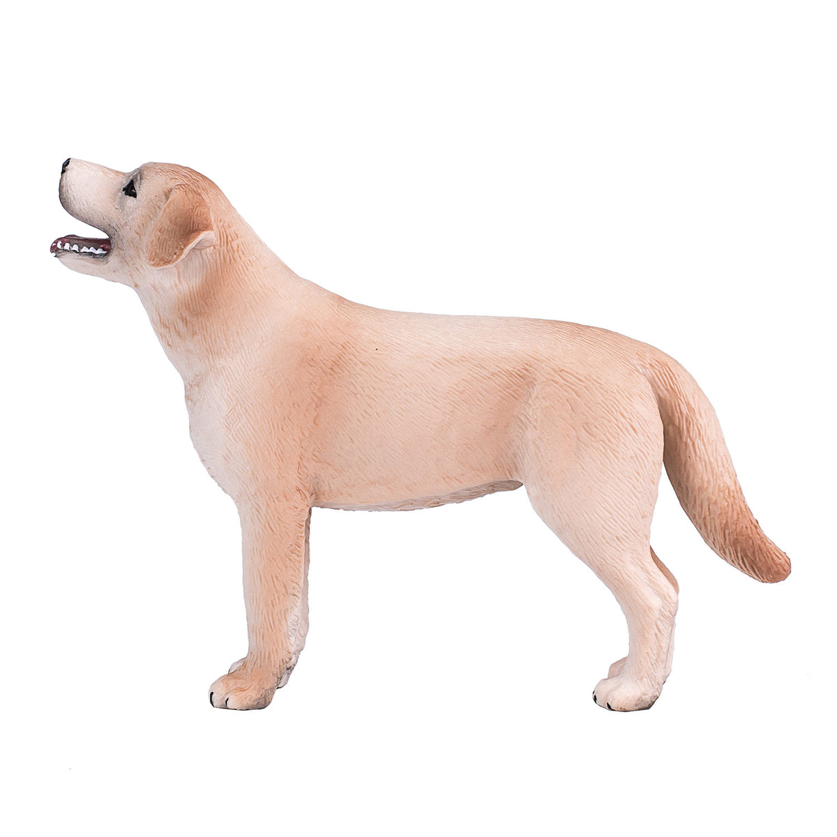 Labrador de tierras de cultivo Mojo - 387271