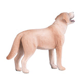 Labrador de tierras de cultivo Mojo - 387271