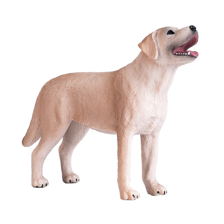 Labrador de tierras de cultivo Mojo - 387271