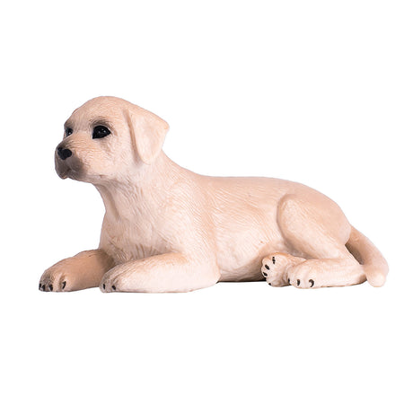 Cachorro labrador de tierras de cultivo Mojo - 387272
