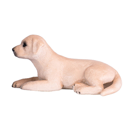 Cachorro labrador de tierras de cultivo Mojo - 387272