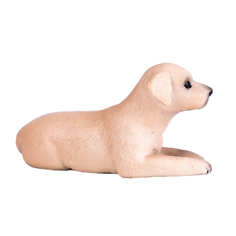 Cachorro labrador de tierras de cultivo Mojo - 387272