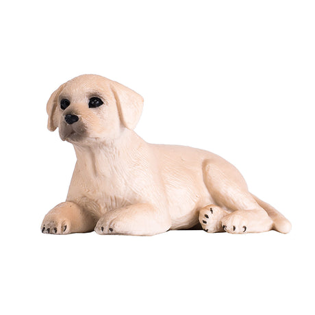 Cachorro labrador de tierras de cultivo Mojo - 387272