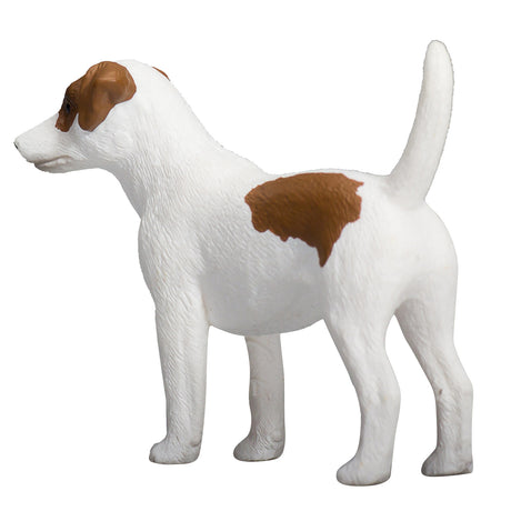 Mojo tierras de cultivo jack russell terrier - 387286