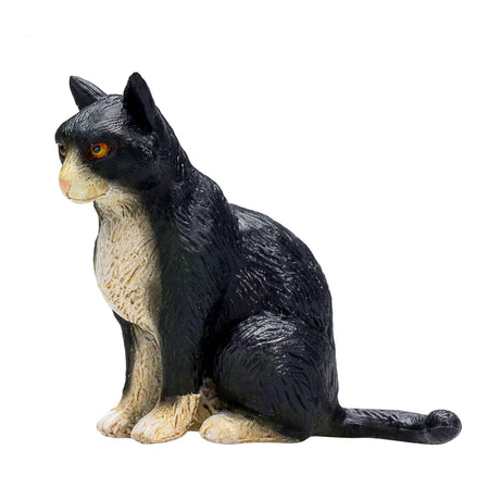 Mojo gato sentado en tierras de cultivo blanco y negro - 387371