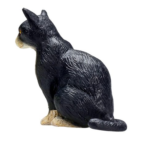 Mojo gato sentado en tierras de cultivo blanco y negro - 387371