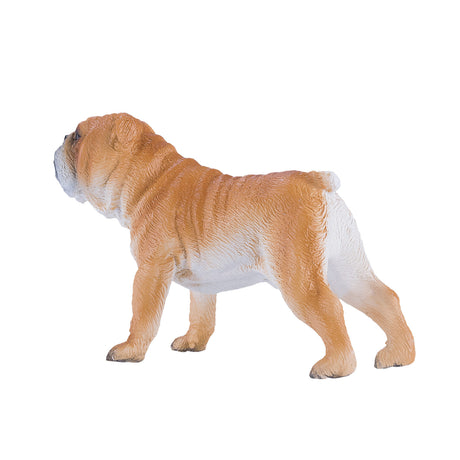 Mojo tierras de cultivo bulldog inglés - 381053