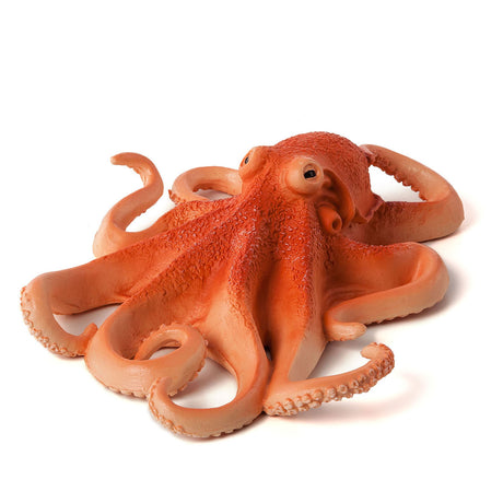 Pulpo mojo sealife 387275