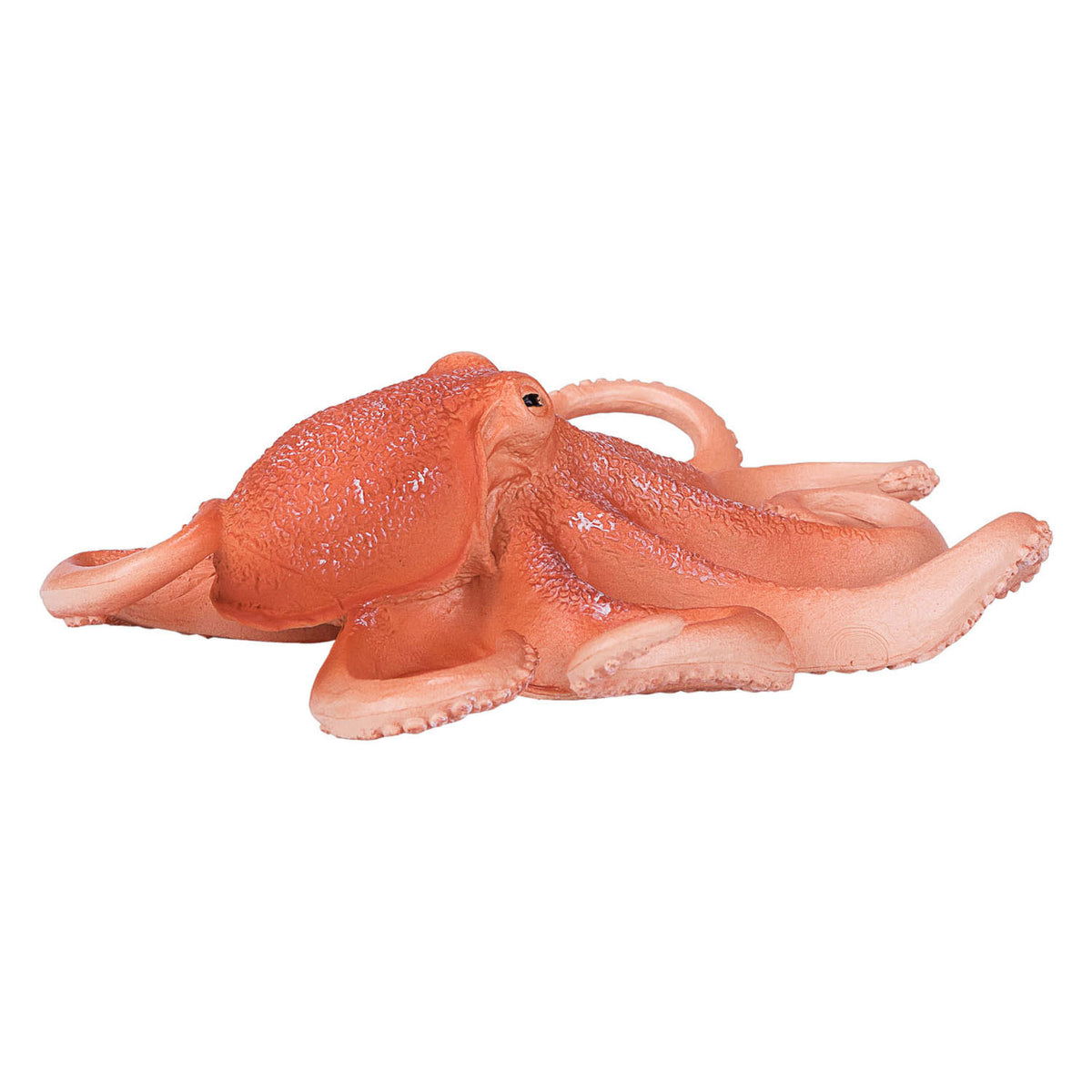 Pulpo mojo sealife 387275