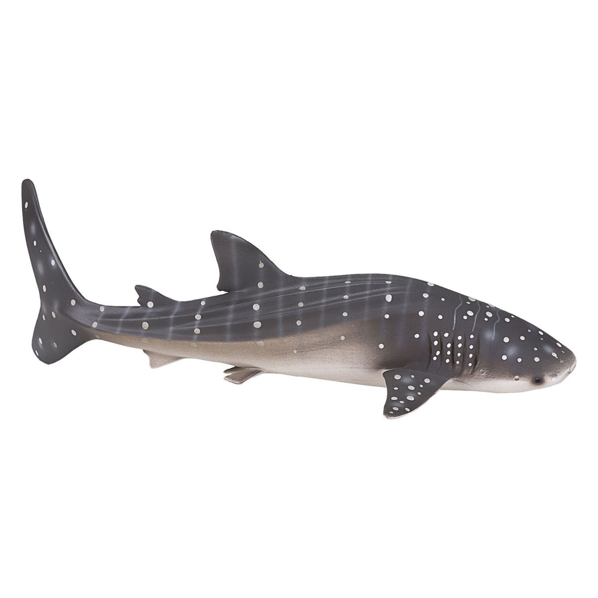 Mojo Sealife Walvishai 387278